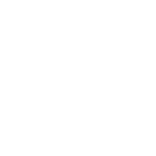 icon-el-coche
